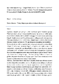 Stanisław Ignacy Witkiewicz, świadomość obrazu czy obraz świadomości,